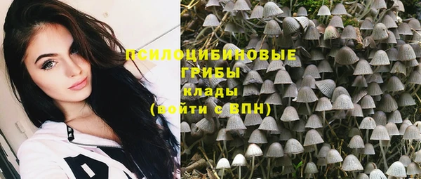 молекула духа Володарск